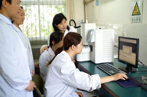 50余人的工藝攻關隊 從技術攻堅到成果轉化之路